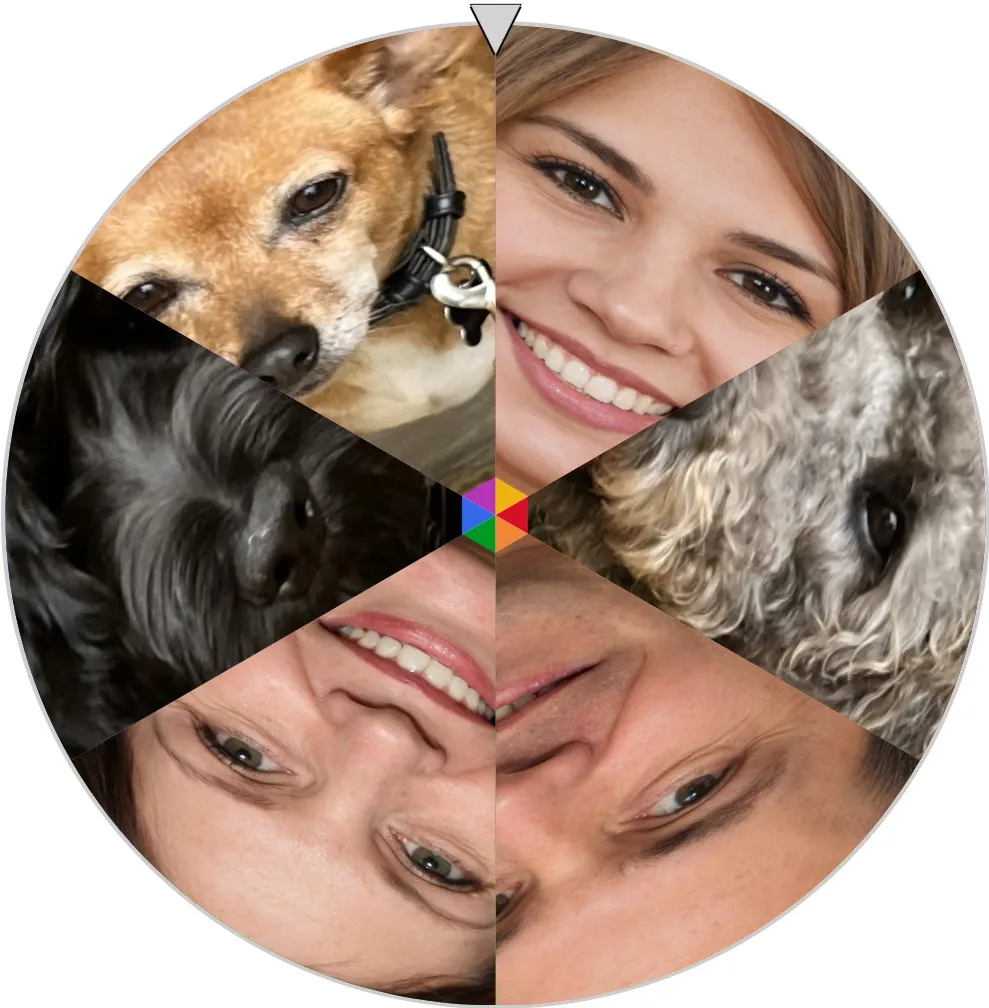 wheel of faces